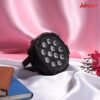 JainNext 12 LED Par Light